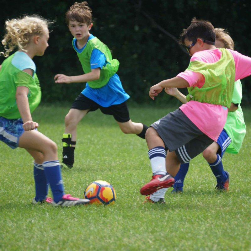 Soccer Camps: Shorewood